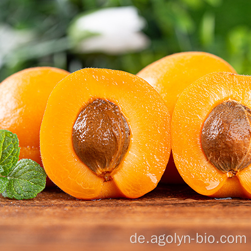 Gesunde Snacks in großen Größen Aprikosennüsse mit hohem Nährwert